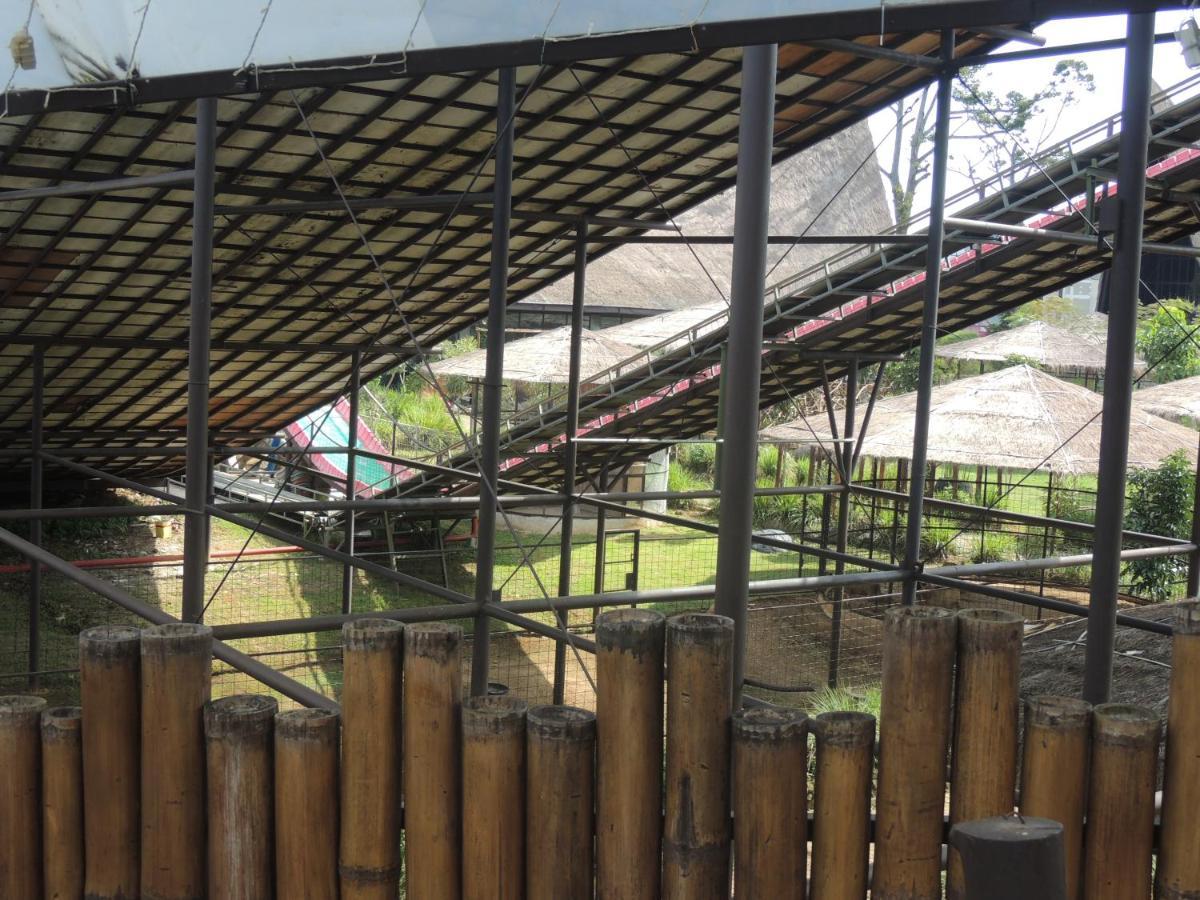 Semilir Glamping Otel Semarang Dış mekan fotoğraf